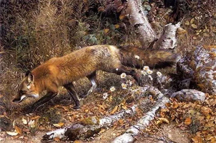 Herndon Fine Art offers authenticated Carl Brenders fine art, including rare hand-signed limited edition prints, mixed-media originals, and hyper-realistic wildlife graphics.