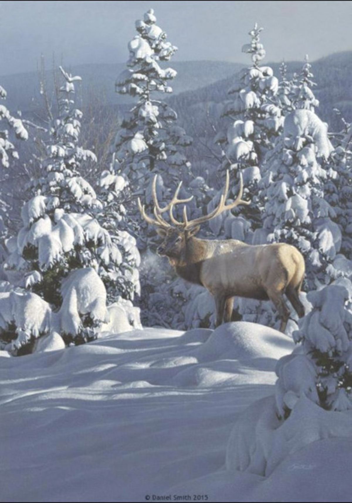 Herndon Fine Art offers authenticated Daniel Smith fine art, including rare hand-signed limited edition canvas giclées, wildlife acrylic paintings, and conservation stamp prints.