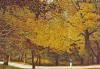 harold altman jogging central park 1986