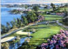 behrens 18th fairway at castle harbor