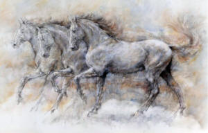 gary benfield Spanish Horses