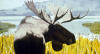 Alex Katz Moose